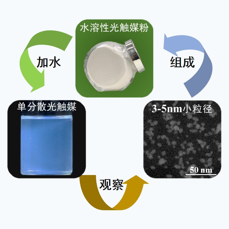 1775113845966853.jpg 1775113845966853.jpg